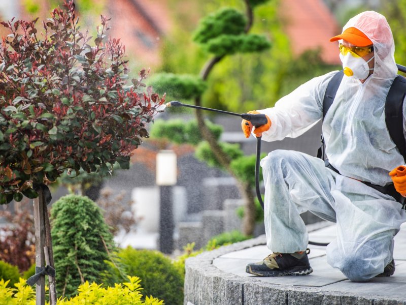 Tire Haşere İlaçlama